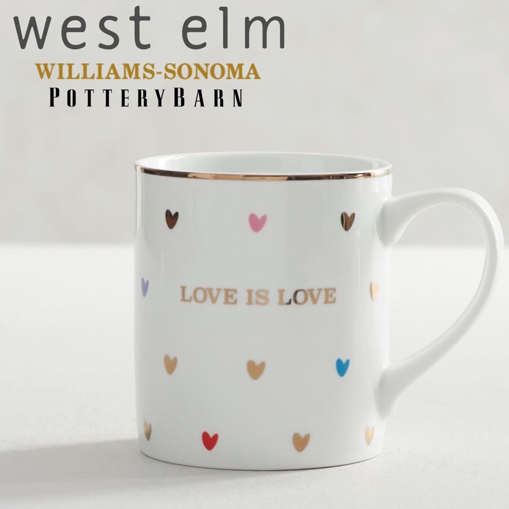 West Elm Love is Love Mug